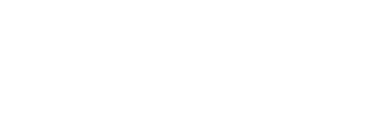 ChromaSilk VIVIDS Logo