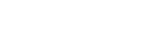 Platinum Toner Desktop Logo
